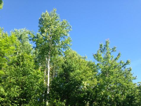 20 Winding Road Bradford ME 04449