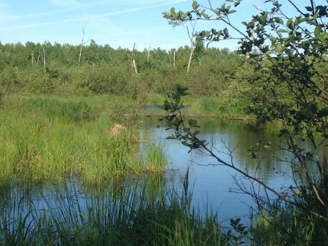 20 Winding Road Bradford ME 04449