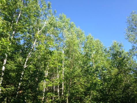 20 Winding Road Bradford ME 04449