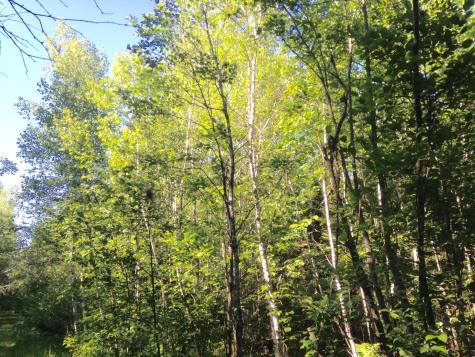 20 Winding Road Bradford ME 04449