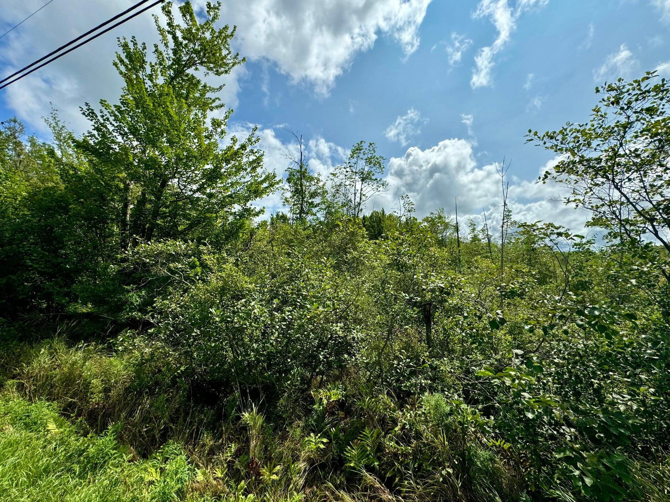 Lot # 31 Hope Road Palmyra ME 04965