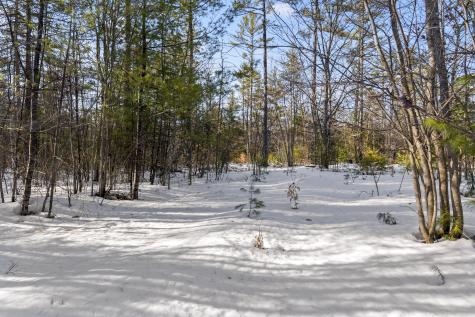 Tbd Intervale Road Subdivision Bethel ME 04217