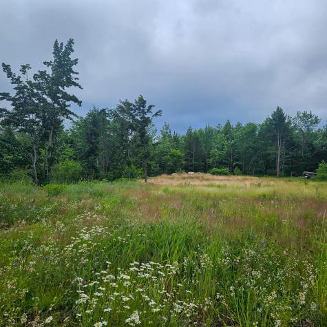 Lot 1 Kelly Lane Millinocket ME 04462