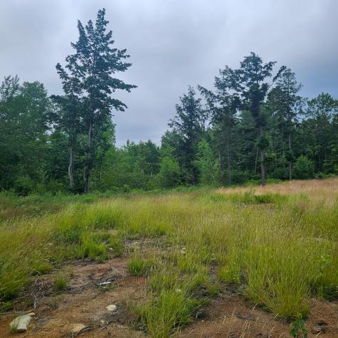 Lot 1 Kelly Lane Millinocket ME 04462