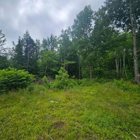 Lot 1 Kelly Lane Millinocket ME 04462