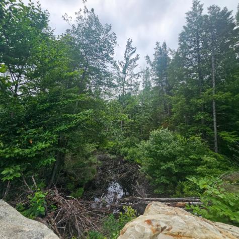 Lot 1 Kelly Lane Millinocket ME 04462