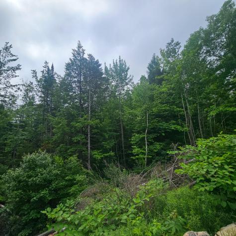 Lot 1 Kelly Lane Millinocket ME 04462