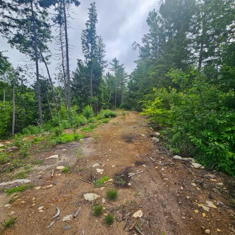 Lot 1 Kelly Lane Millinocket ME 04462