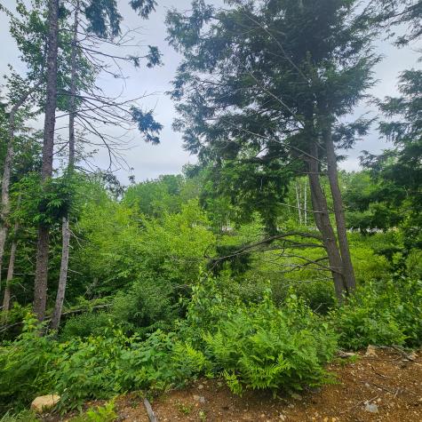 Lot 1 Kelly Lane Millinocket ME 04462