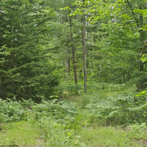 Lot 1 Kelly Lane Millinocket ME 04462