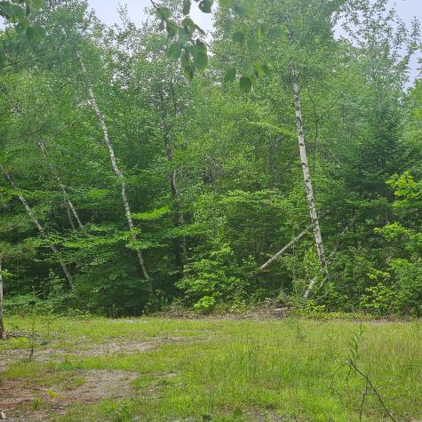 Lot 1 Kelly Lane Millinocket ME 04462