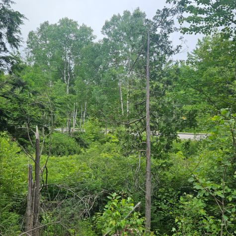 Lot 1 Kelly Lane Millinocket ME 04462