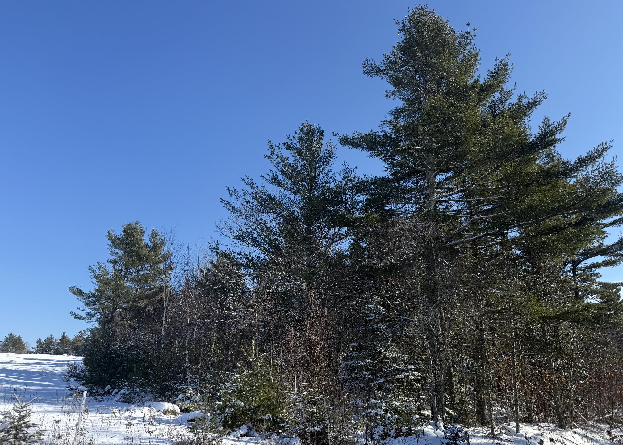 MR2 L123b Pout Town Road Stockton Springs ME 04981