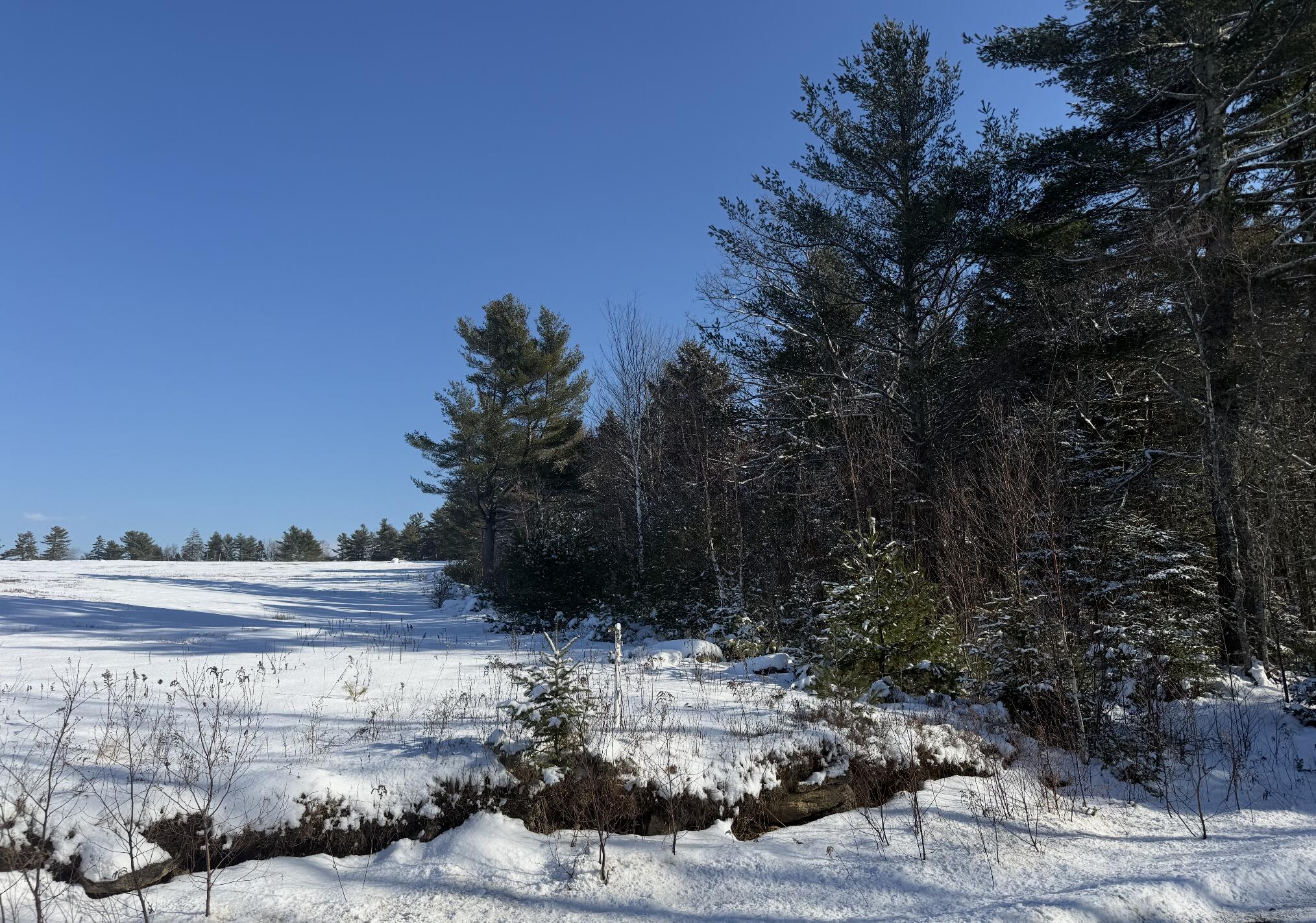 MR2 L123b Pout Town Road Stockton Springs ME 04981