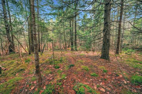 0 Swamp Road Gouldsboro ME 04607