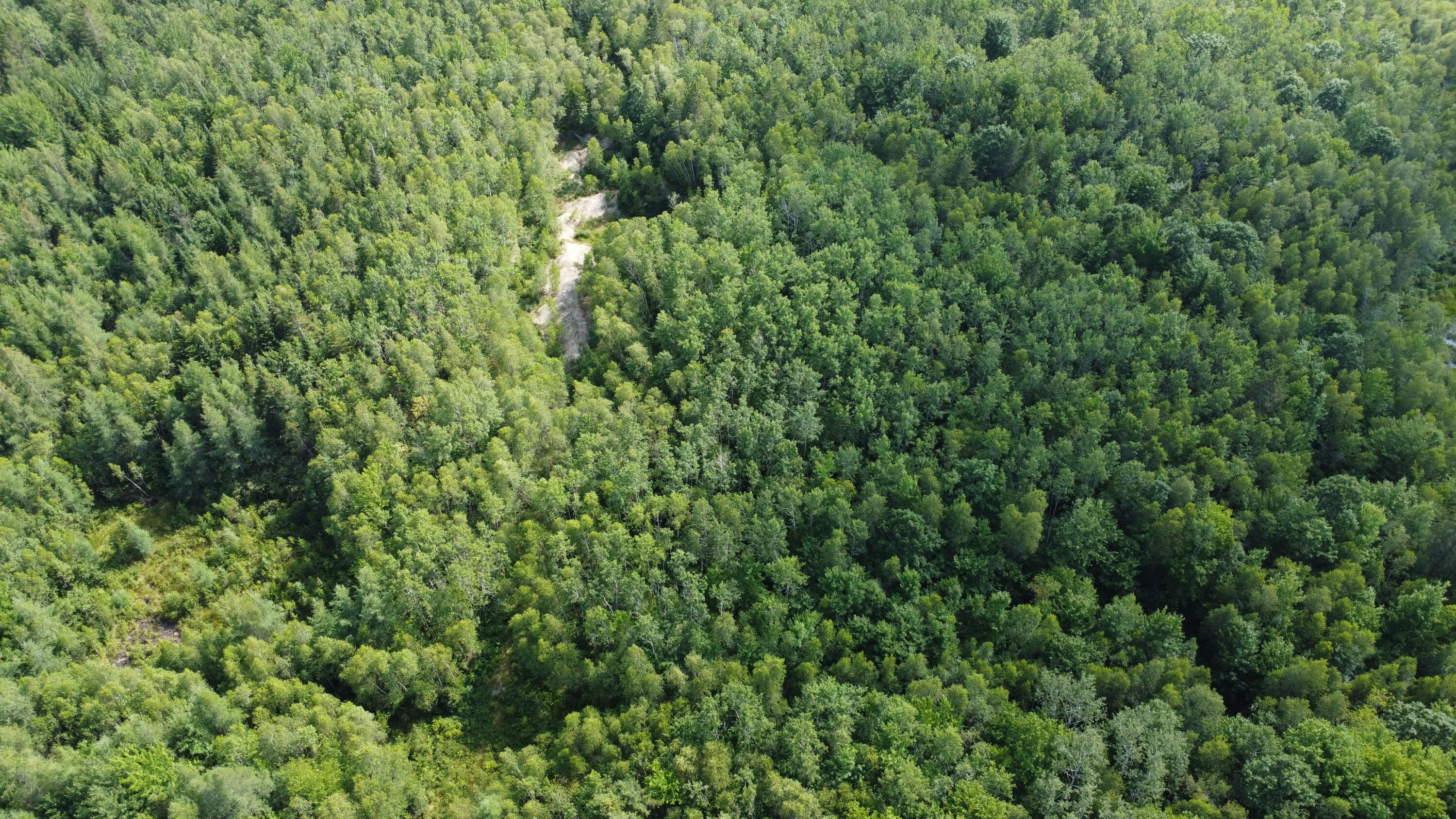 7 Sharon Lane Cherryfield ME 04622