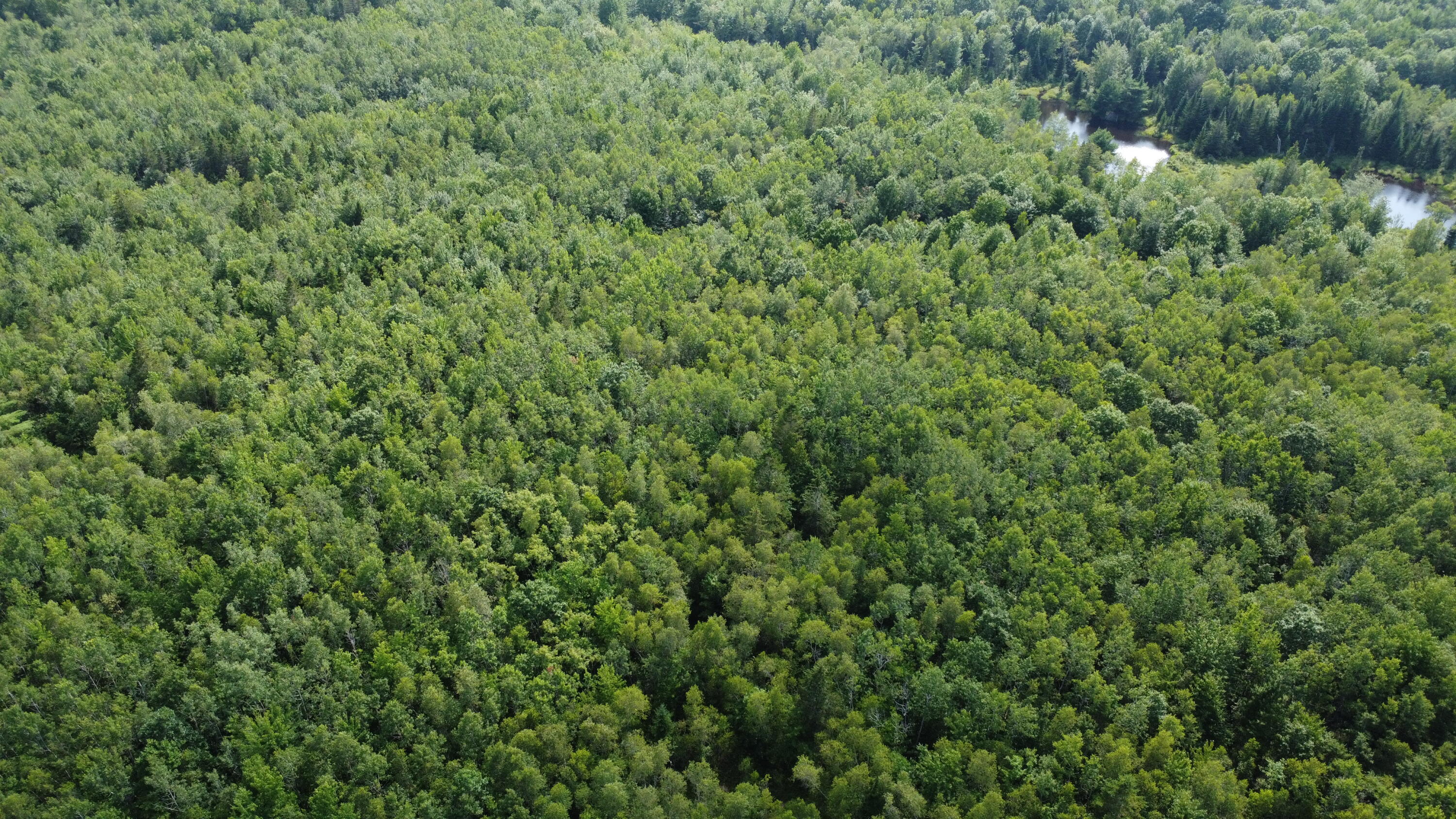 7 Sharon Lane Cherryfield ME 04622