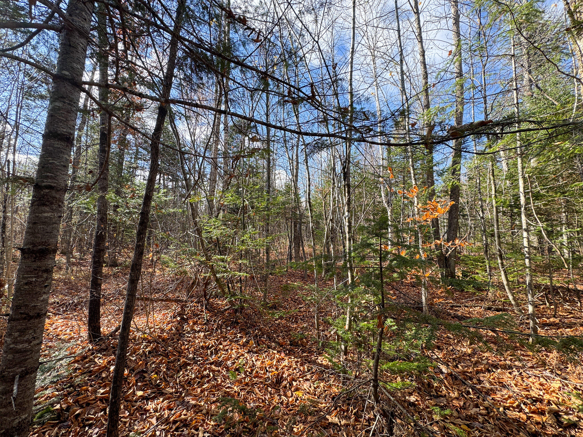 M5L16 Aroostook Scenic Highway Hersey ME 04780