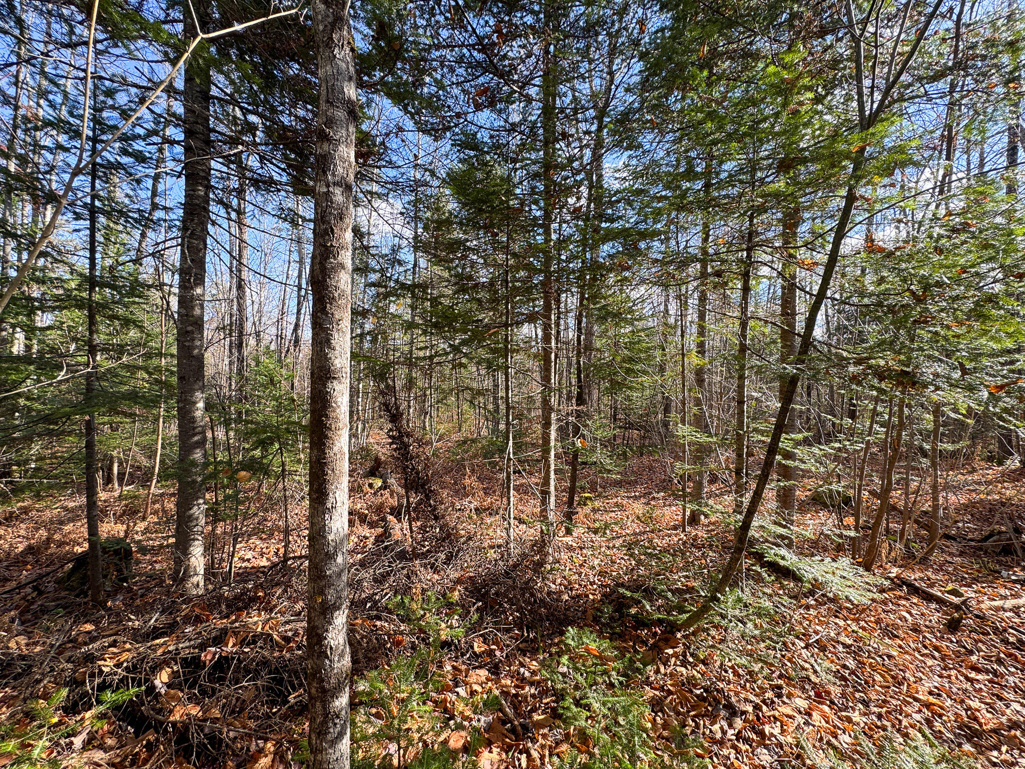 M5L16 Aroostook Scenic Highway Hersey ME 04780