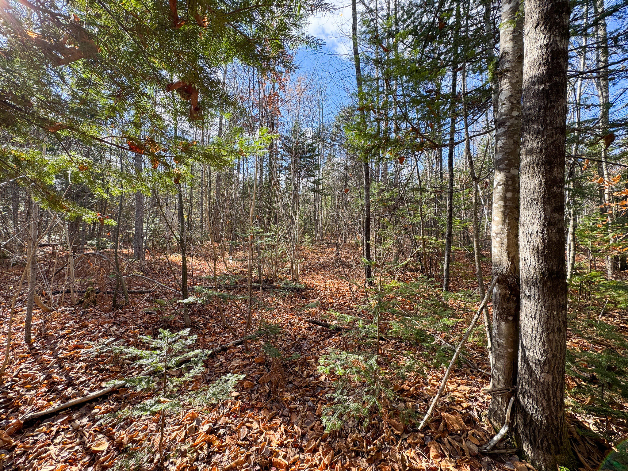 M5L16 Aroostook Scenic Highway Hersey ME 04780