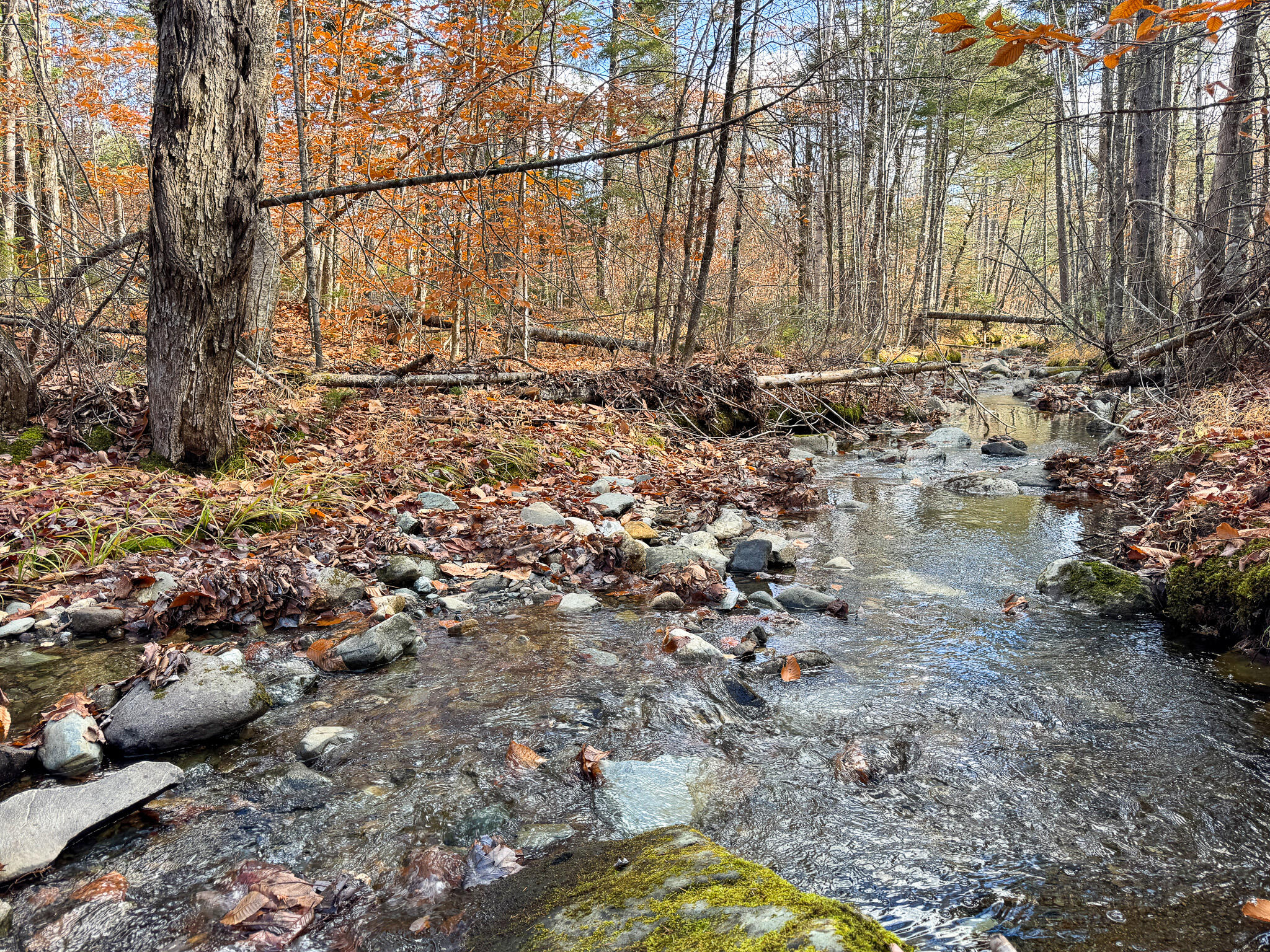 M5L16 Aroostook Scenic Highway Hersey ME 04780