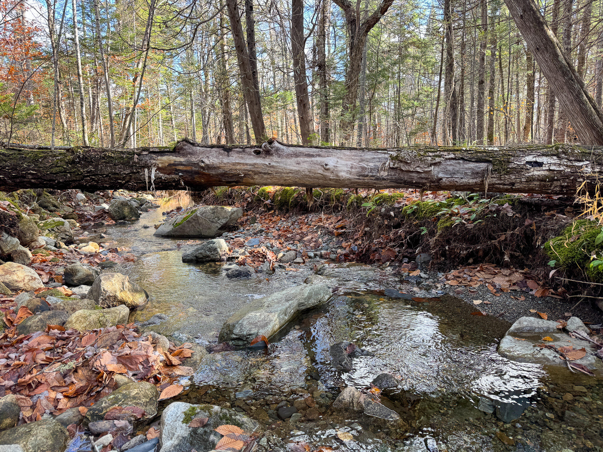 M5L16 Aroostook Scenic Highway Hersey ME 04780