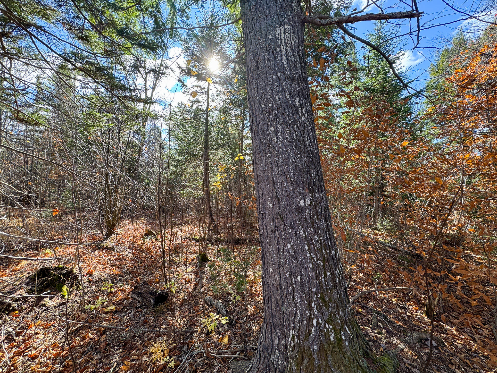 M5L16 Aroostook Scenic Highway Hersey ME 04780