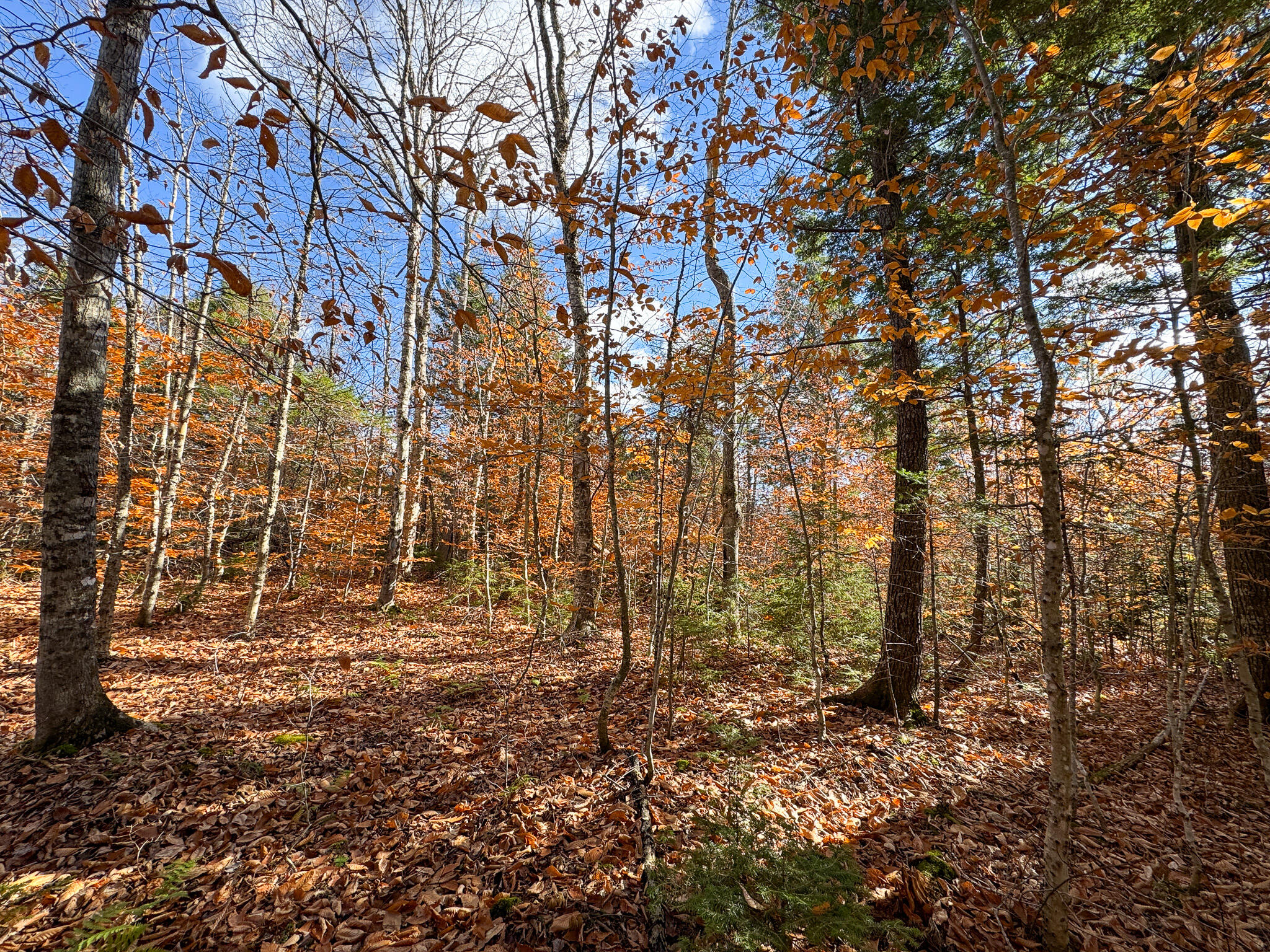 M5L16 Aroostook Scenic Highway Hersey ME 04780