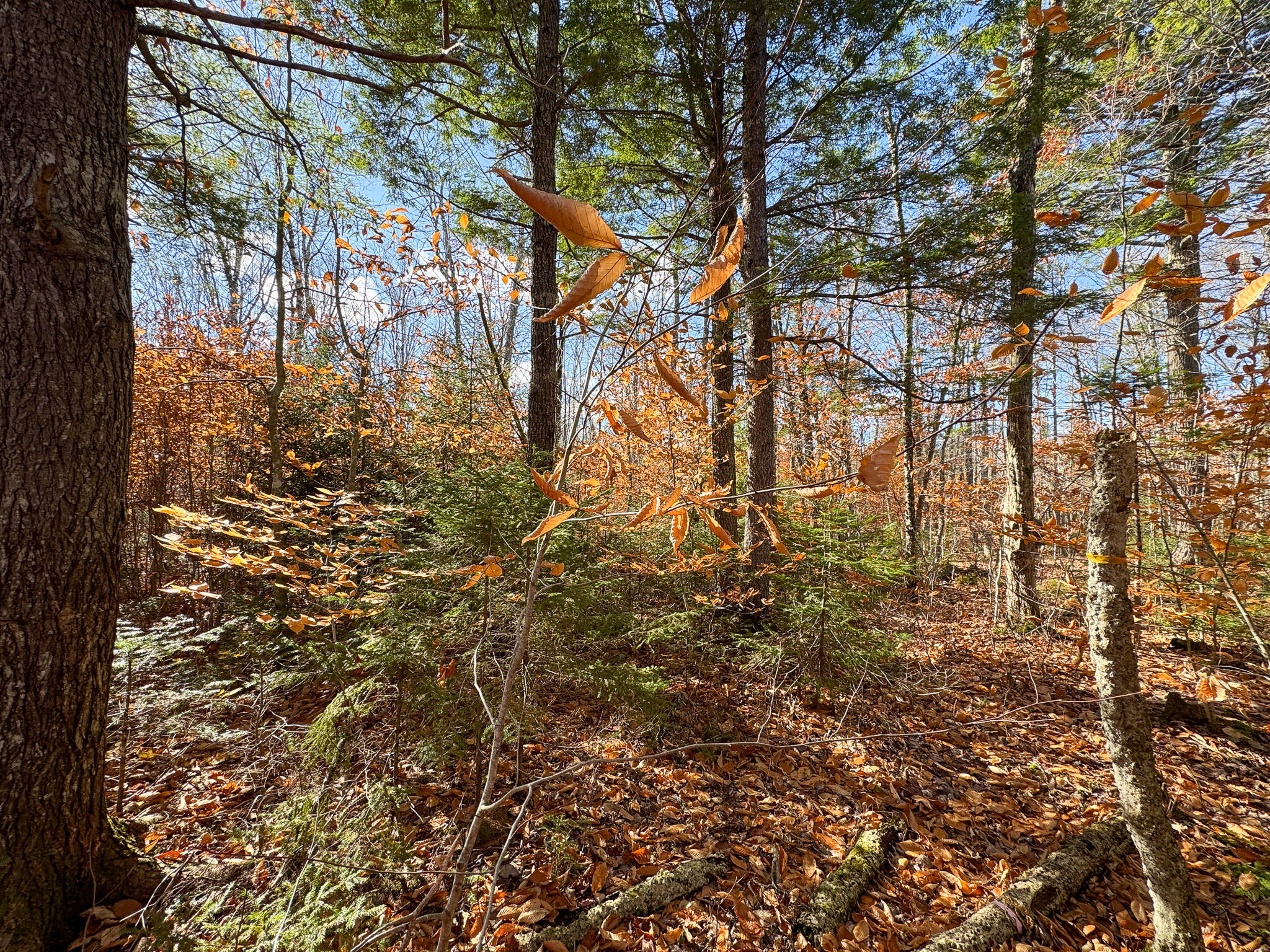 M5L16 Aroostook Scenic Highway Hersey ME 04780