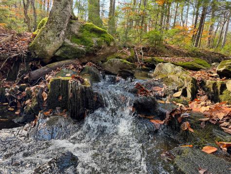 M5L16 Aroostook Scenic Highway Hersey ME 04780