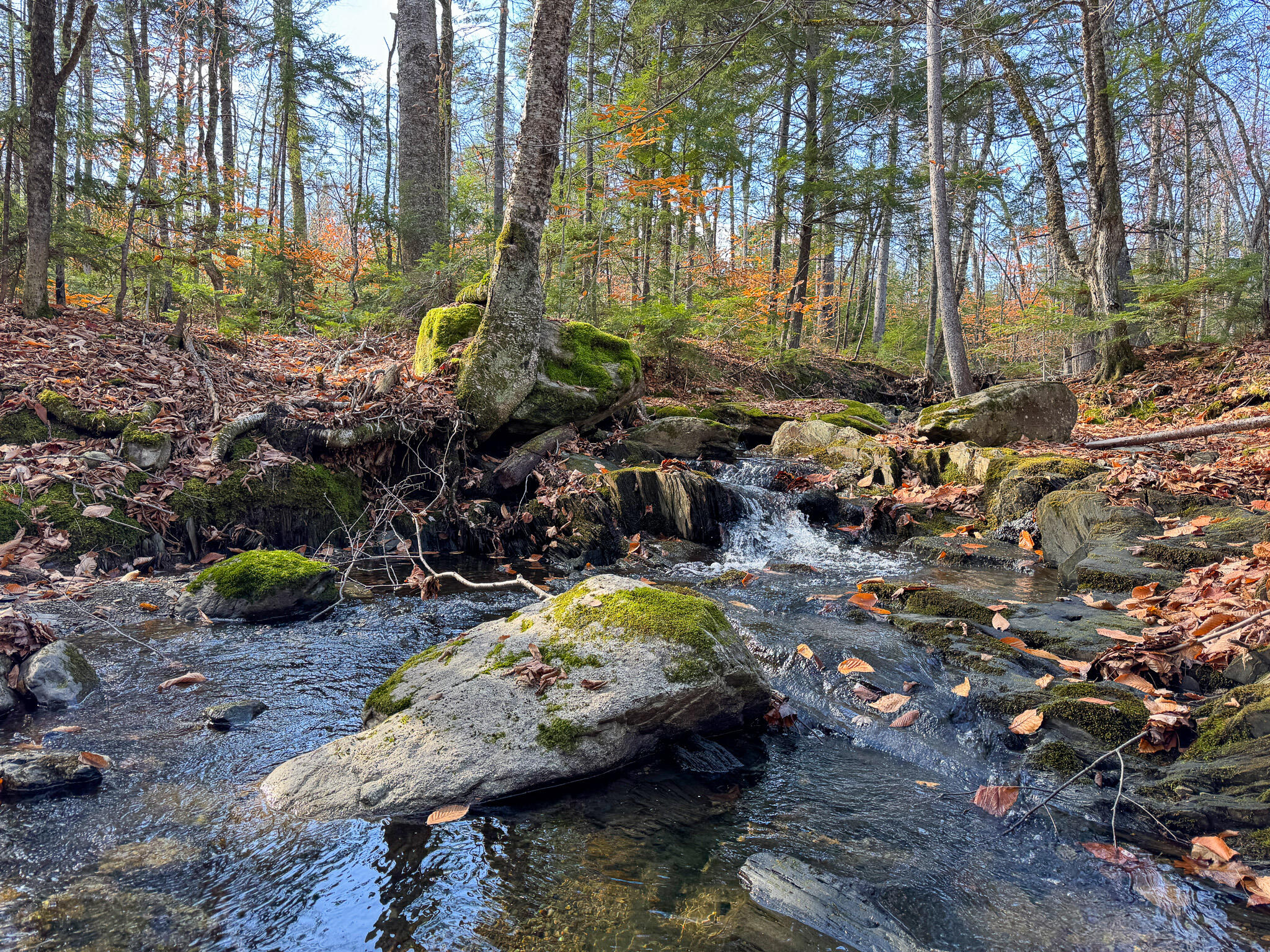 M5L16 Aroostook Scenic Highway Hersey ME 04780