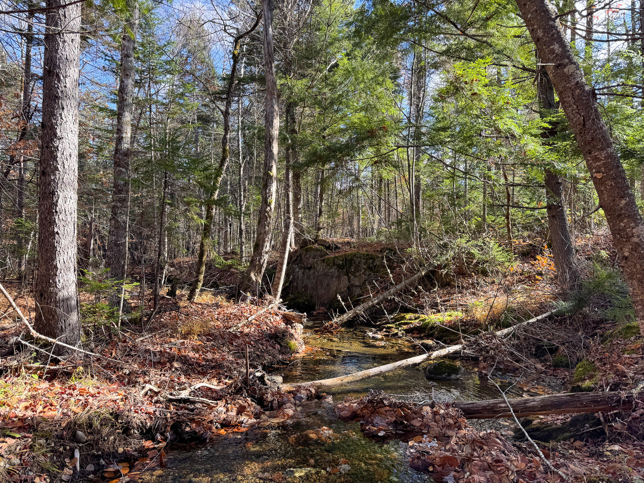 M5L16 Aroostook Scenic Highway Hersey ME 04780