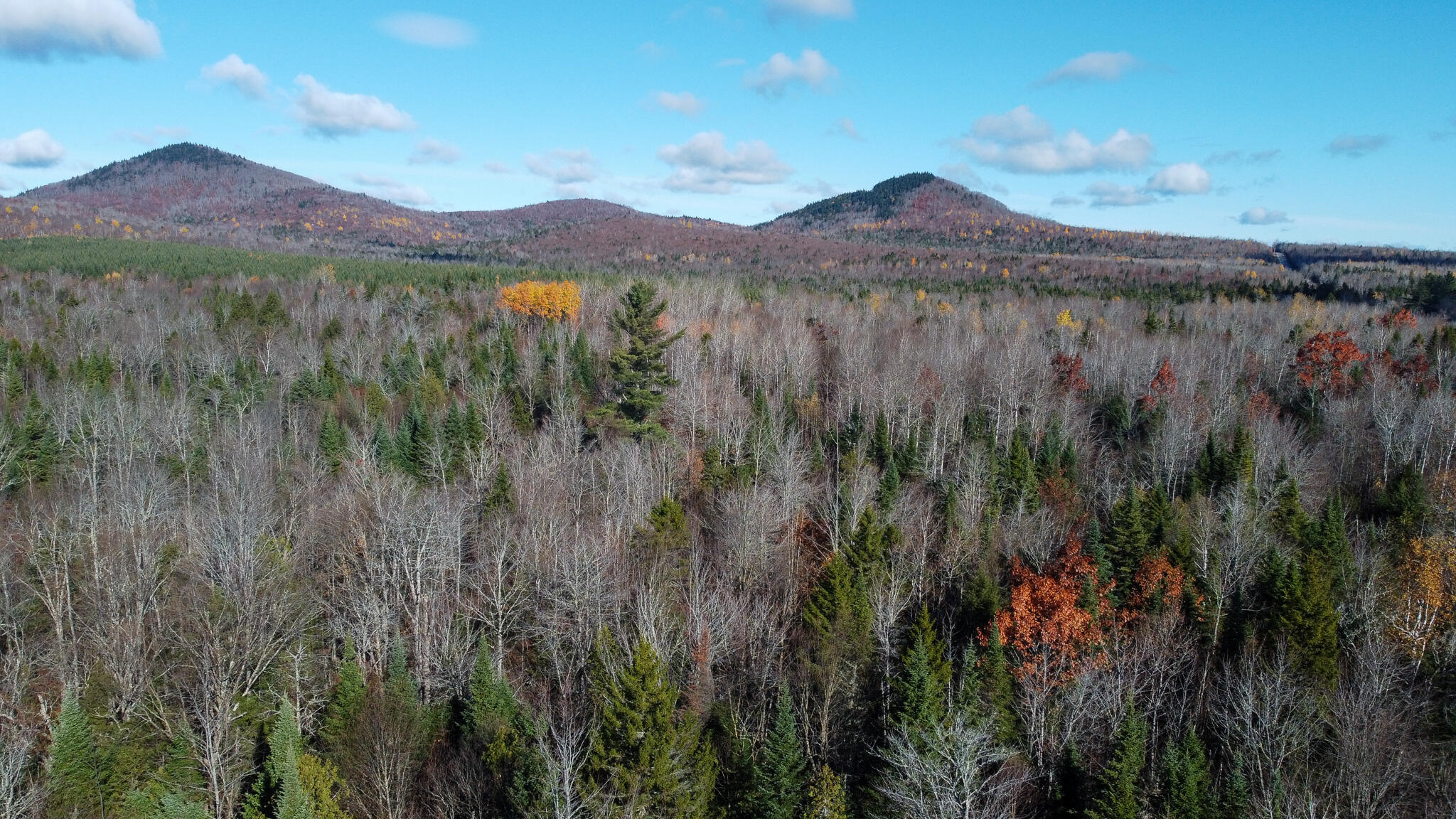 M5L16 Aroostook Scenic Highway Hersey ME 04780
