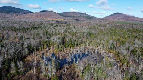 M5L16 Aroostook Scenic Highway Hersey ME 04780