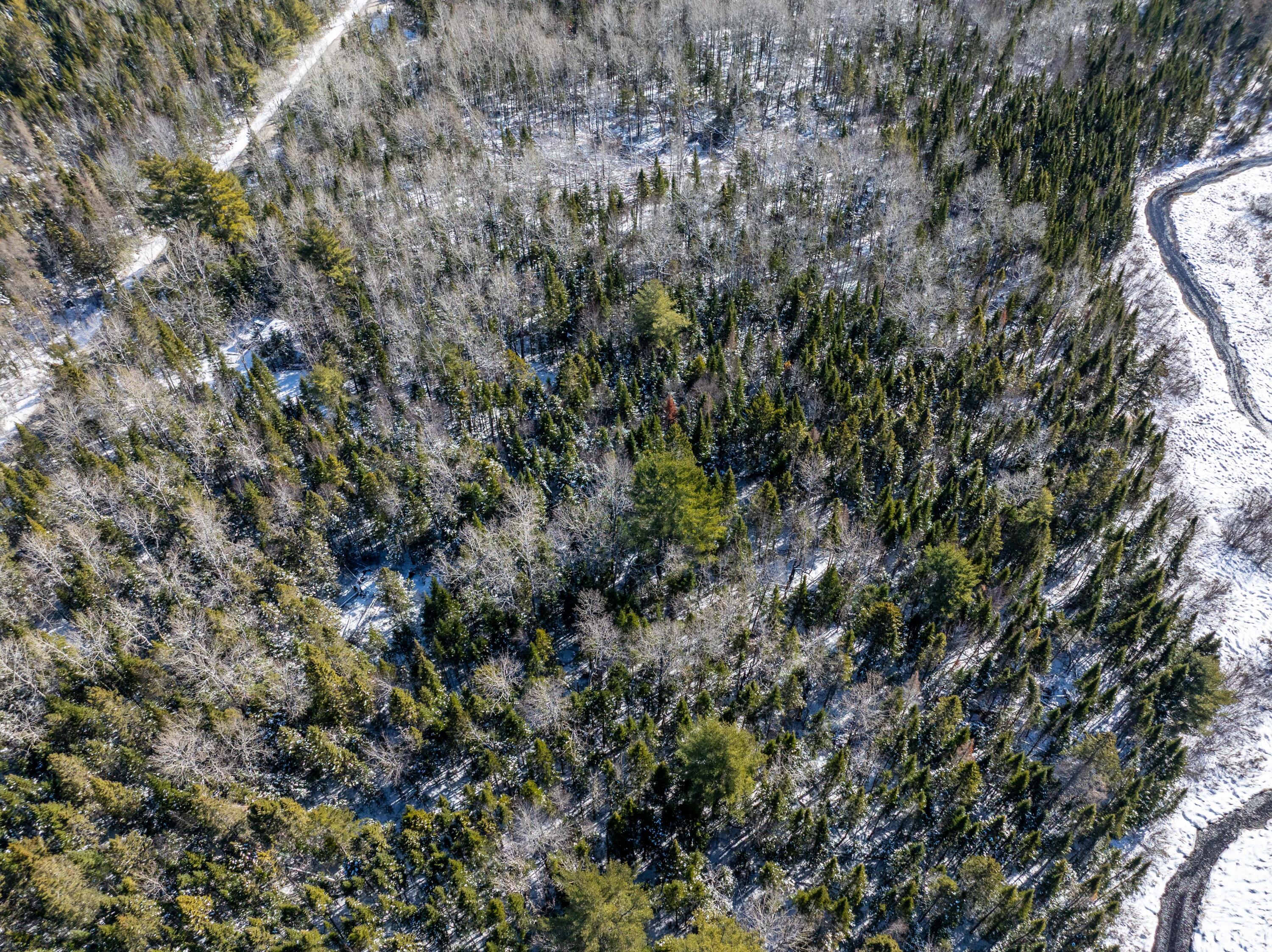 382 Woodland Road Princeton ME 04668