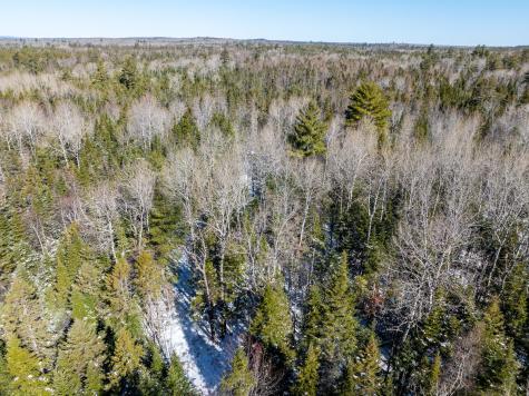 382 Woodland Road Princeton ME 04668