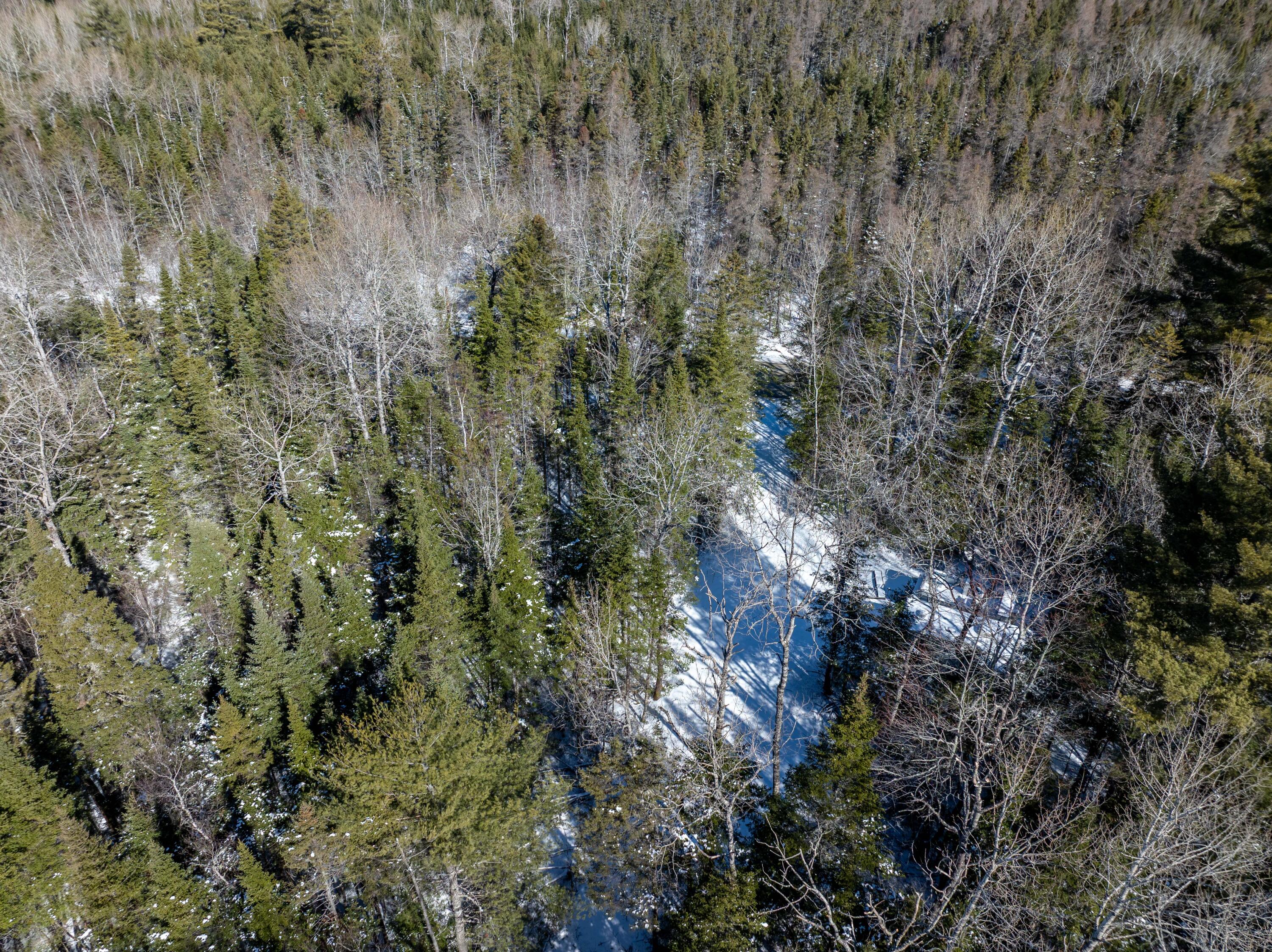 382 Woodland Road Princeton ME 04668