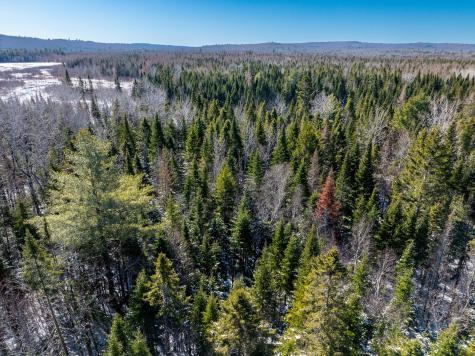 382 Woodland Road Princeton ME 04668