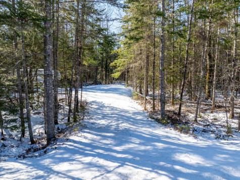 382 Woodland Road Princeton ME 04668