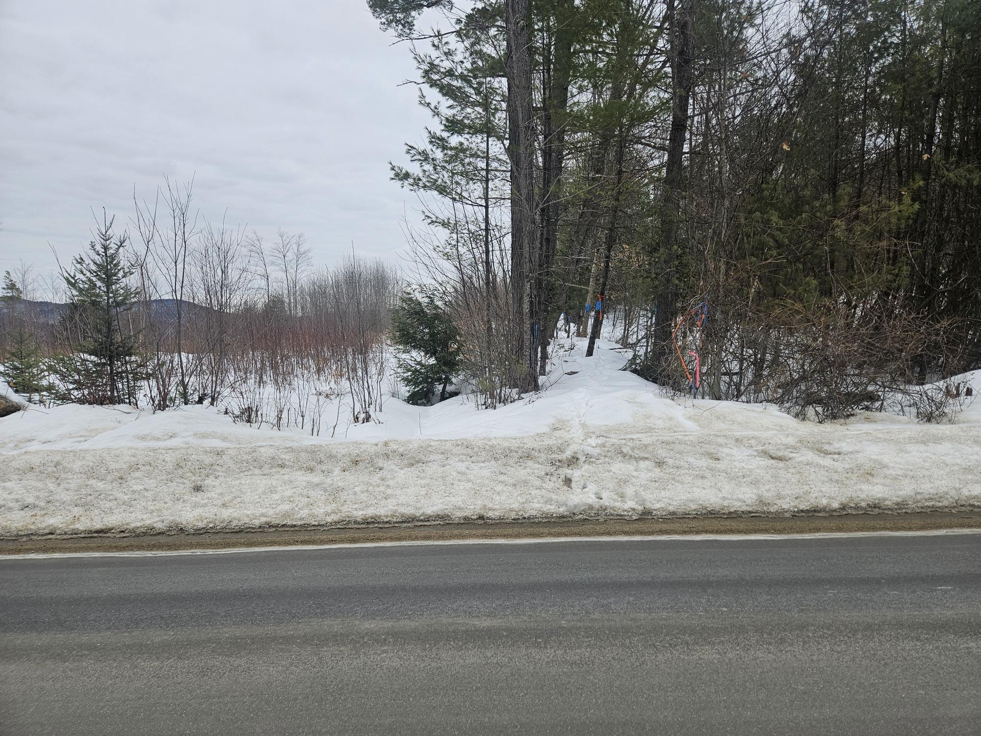 L52 Bridgton Road Sweden ME 04040