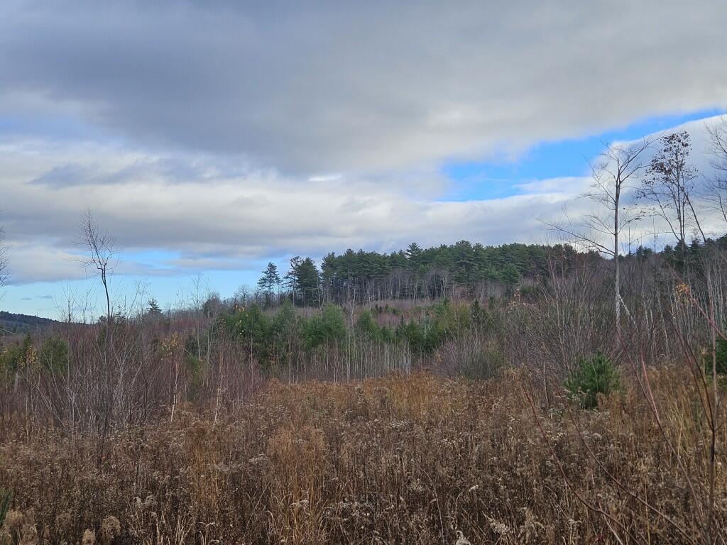 L52 Bridgton Road Sweden ME 04040