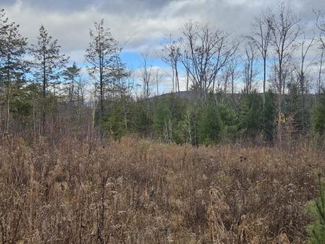 L52 Bridgton Road Sweden ME 04040