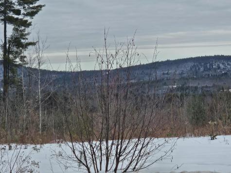 L52 Bridgton Road Sweden ME 04040