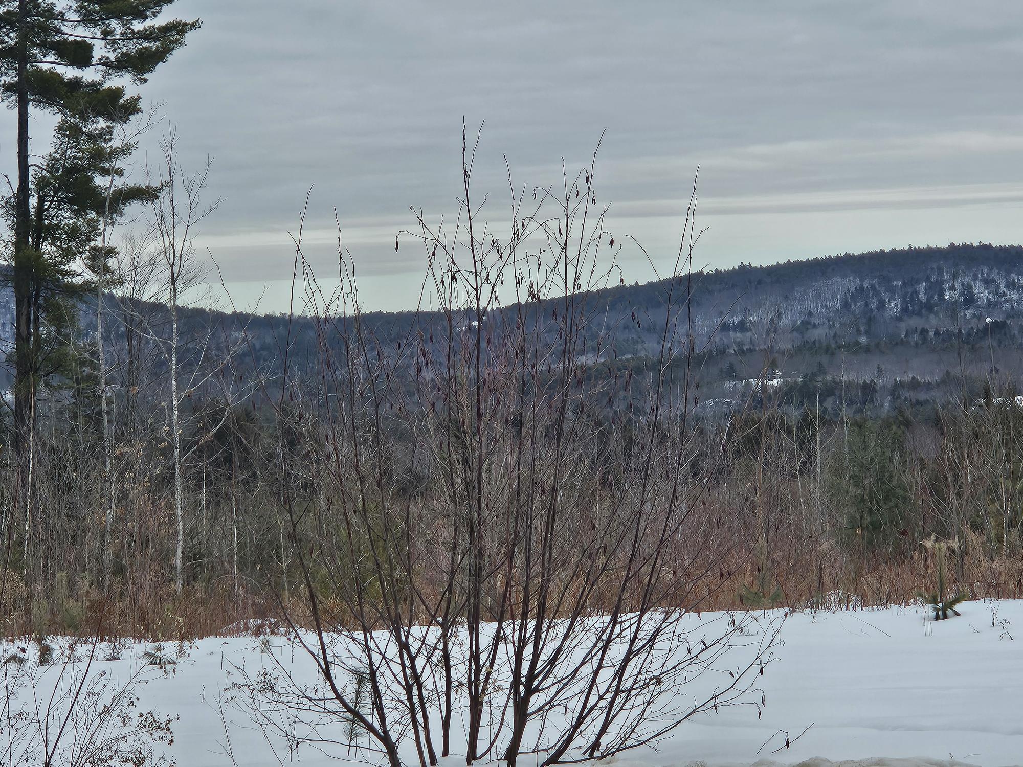 L52 Bridgton Road Sweden ME 04040