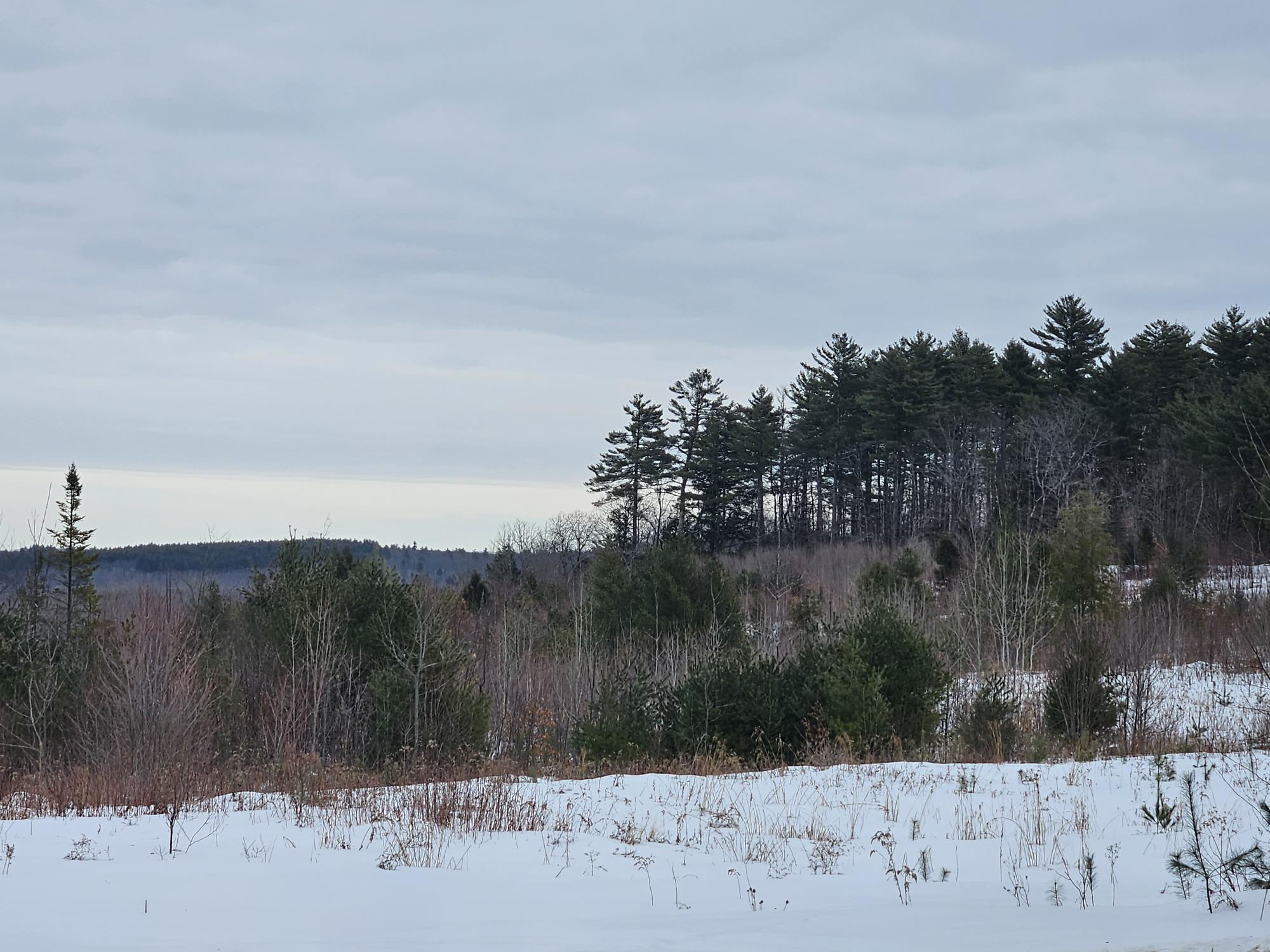 L52 Bridgton Road Sweden ME 04040