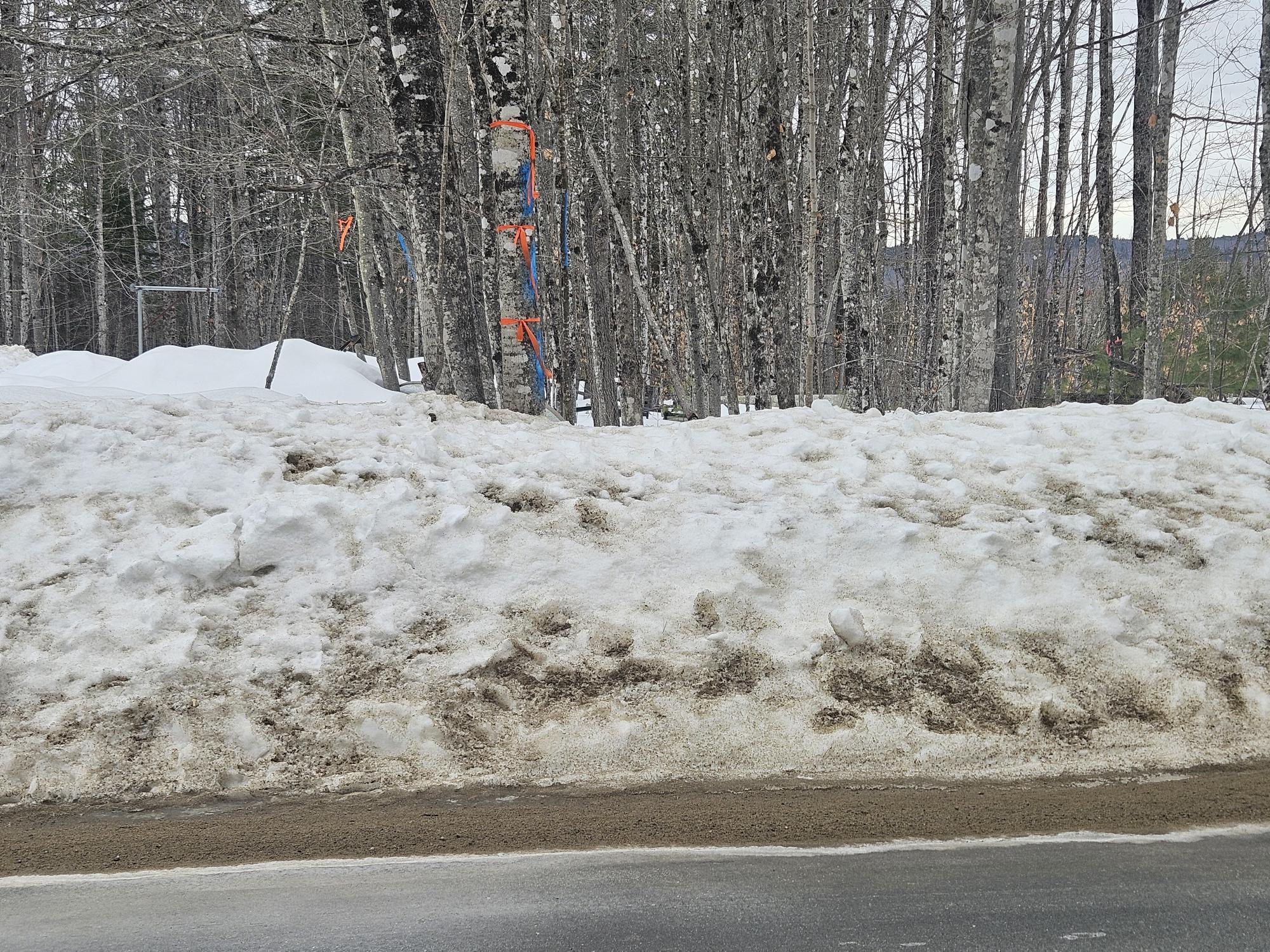 L52 Bridgton Road Sweden ME 04040