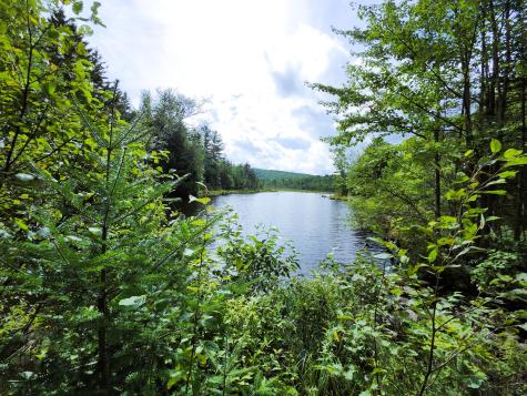 672 Meadow Lane Rumford ME 04276