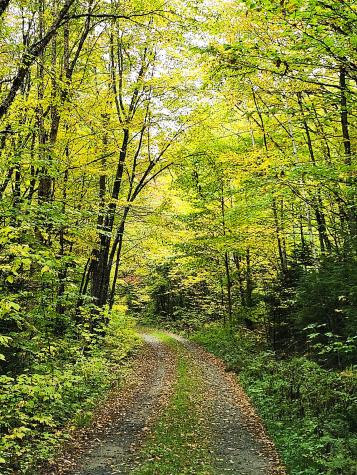 672 Meadow Lane Rumford ME 04276