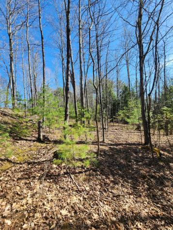 0 Madison Road Norridgewock ME 04957