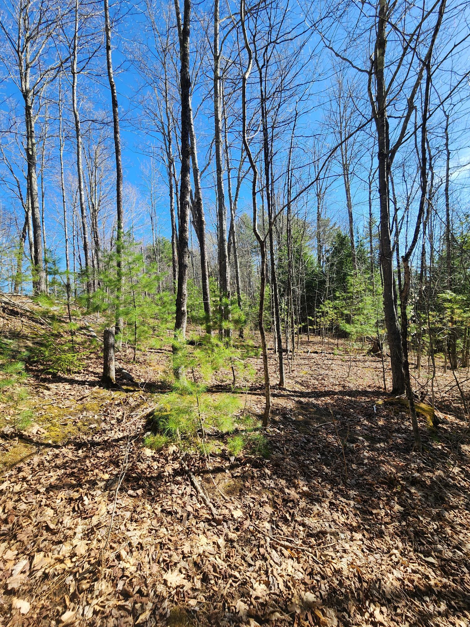 0 Madison Road Norridgewock ME 04957